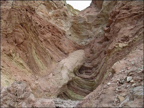 Fossil Tracks