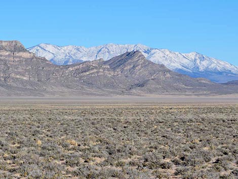 Great Basin Desert