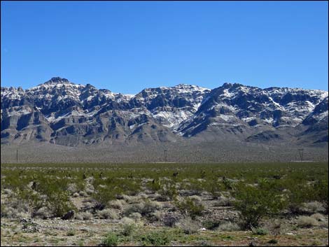 Arrow Canyon Wilderness Area