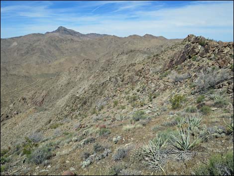 Jumbo Springs Wilderness Area