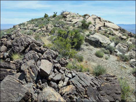 Jumbo Springs Wilderness Area