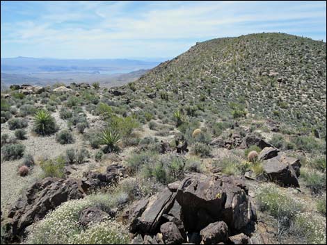 Jumbo Springs Wilderness Area