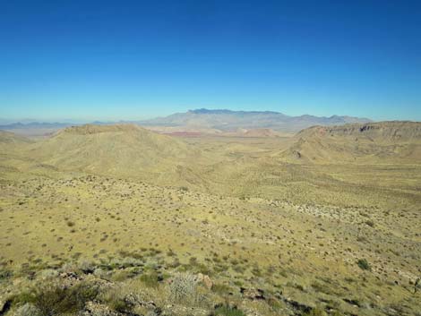 Lime Canyon Wilderness Area