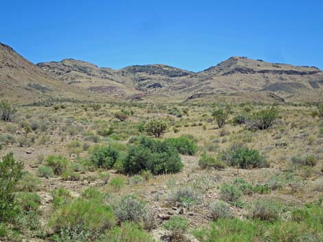 Meadow Valley Range Wilderness Area