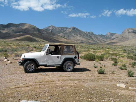 Mormon Mountains Wilderness Area