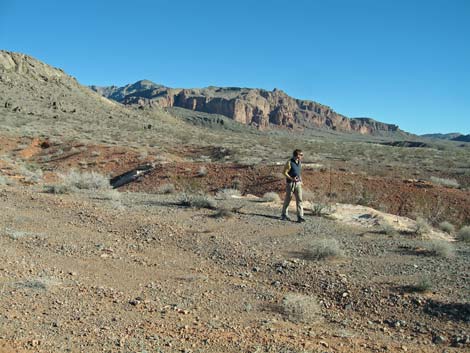 Muddy Mountains Wilderness Area