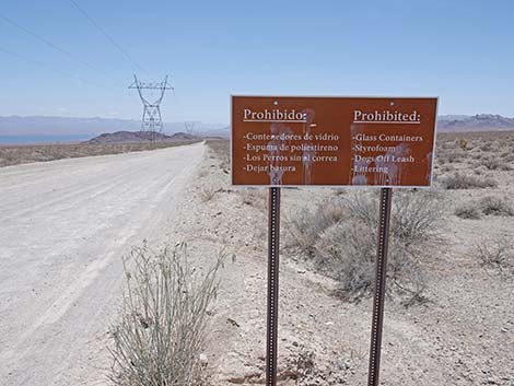 Nellis Wash Wilderness Area