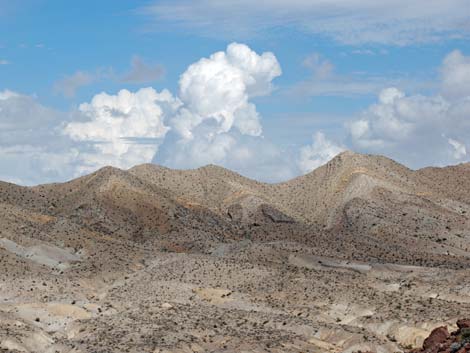 Pinto Valley Wilderness Area