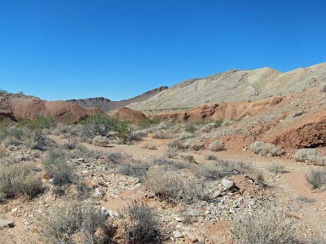 Pinto Valley Wilderness Area